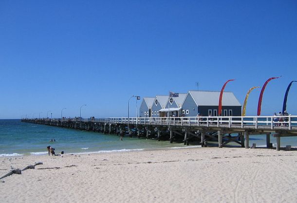 Jetty fishos helping science